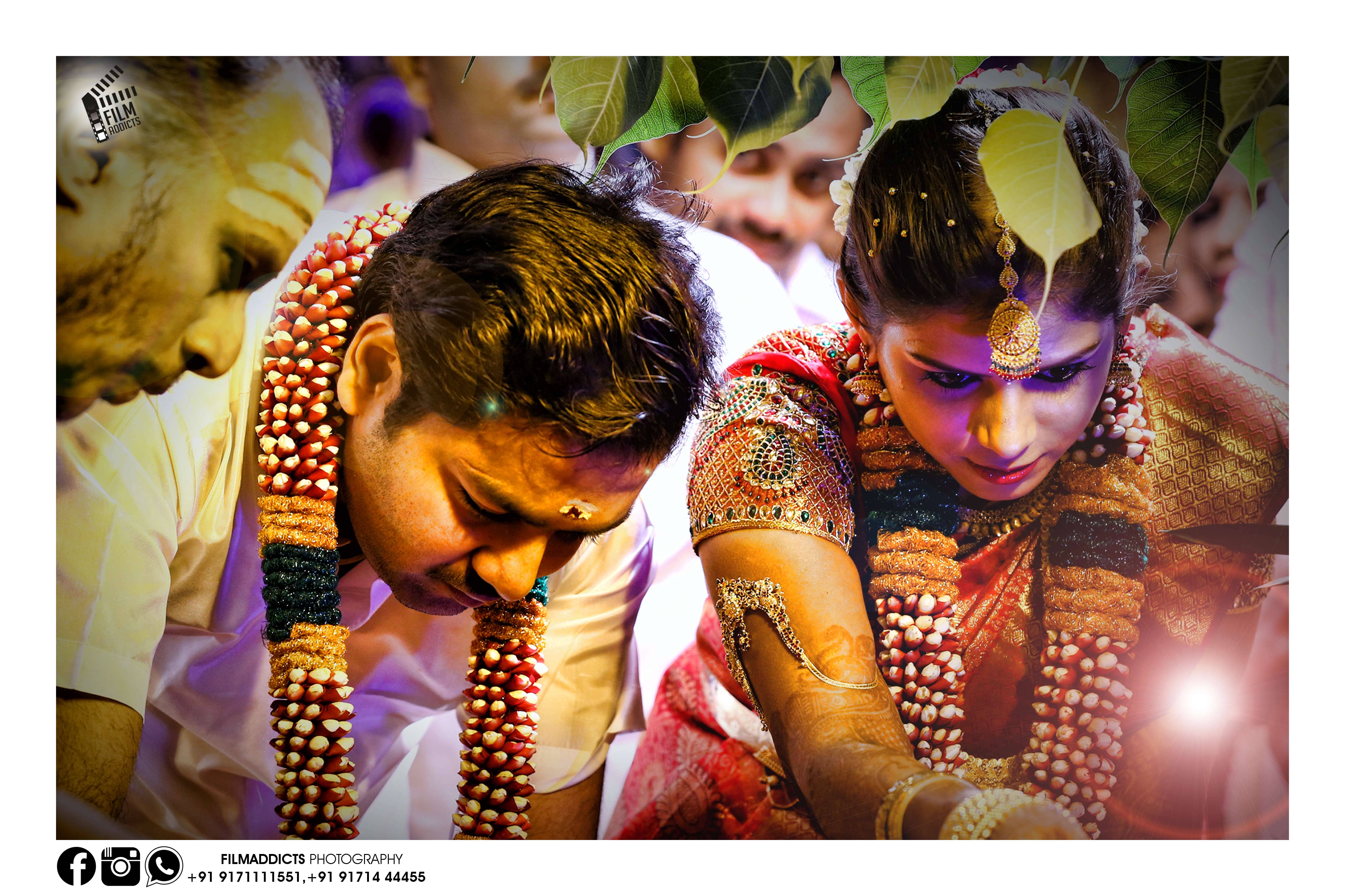 Best wedding photographers in Thanjavur,Best wedding photography in Thanjavur,Best candid photographers in Thanjavur,Best candid photography in Thanjavur,Best marriage photographers in Thanjavur,Best marriage photography in Thanjavur,Best photographers in Thanjavur,Best photography in Thanjavur,Best wedding candid photography in Thanjavur,Best wedding candid photographers in Thanjavur,Best wedding video in Thanjavur,Best wedding videographers in Thanjavur,Best wedding videography in Thanjavur,Best candid videographers in Thanjavur,Best candid videography in Thanjavur,Best marriage videographers in Thanjavur,Best marriage videography in Thanjavur,Best videographers in Thanjavur,Best videography in Thanjavur,Best wedding candid videography in Thanjavur,Best wedding candid videographers in Thanjavur,Best helicam operators in Thanjavur,Best drone operators in Thanjavur,Best wedding studio in Thanjavur,Best professional photographers in Thanjavur,Best professional photography in Thanjavur,No.1 wedding photographers in Thanjavur,No.1 wedding photography in Thanjavur,Thanjavur wedding photographers,Thanjavur wedding photography,Thanjavur wedding videos,Best candid videos in Thanjavur,Best candid photos in Thanjavur,Best helicam operators photography in Thanjavur,Best helicam operator photographers in Thanjavur,Best outdoor videography in Thanjavur,Best professional wedding photography in Thanjavur,Best outdoor photography in Thanjavur,Best outdoor photographers in Thanjavur,Best drone operators photographers in Thanjavur,Best wedding candid videography in Thanjavur,tamilnadu wedding photography, tamilnadu.